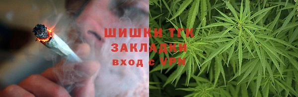 трава Кодинск