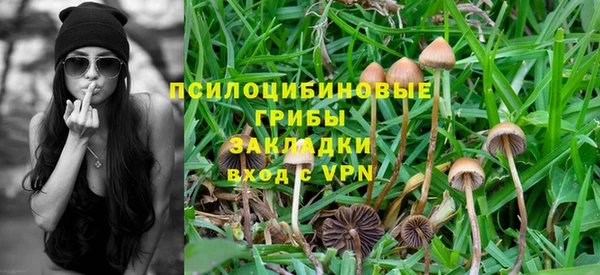 МДПВ Козельск