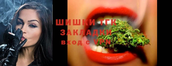 МДПВ Козельск