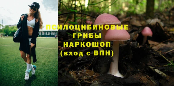 МДПВ Козельск