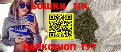 прущие крисы Гатчина