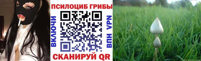 Галлюциногенные грибы Cubensis  что такое   Железногорск 