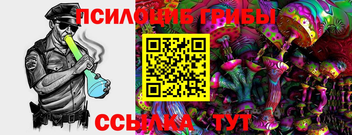 Псилоцибиновые грибы Magic Shrooms  Железногорск 