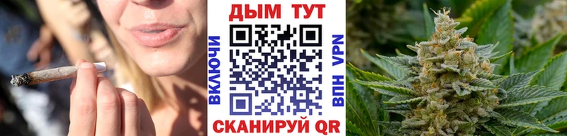 купить  сайты  Железногорск  Канабис индика 